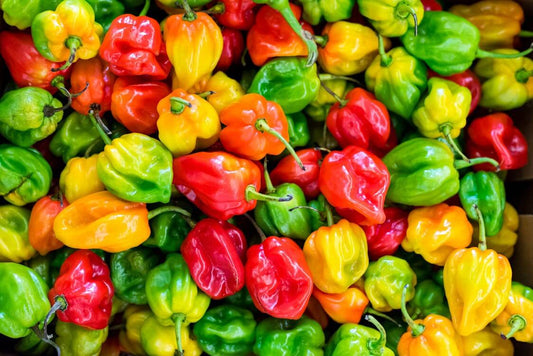 Habaneros